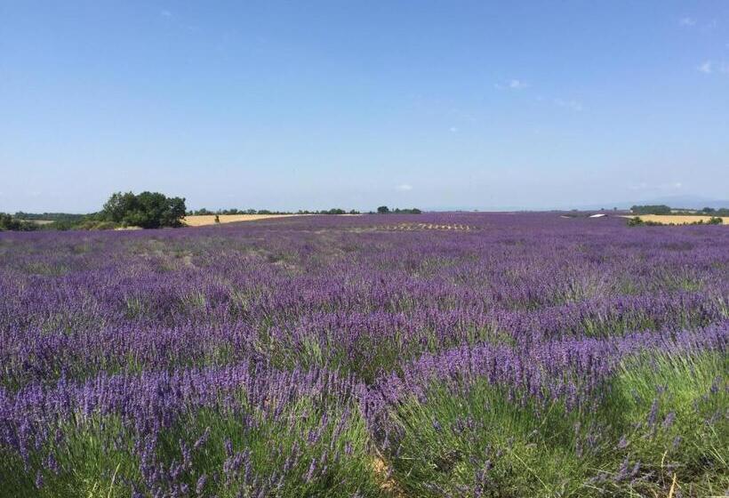 חדר סטנדרט נוף לגינה, B&b En Provence  Villa Saint Marc
