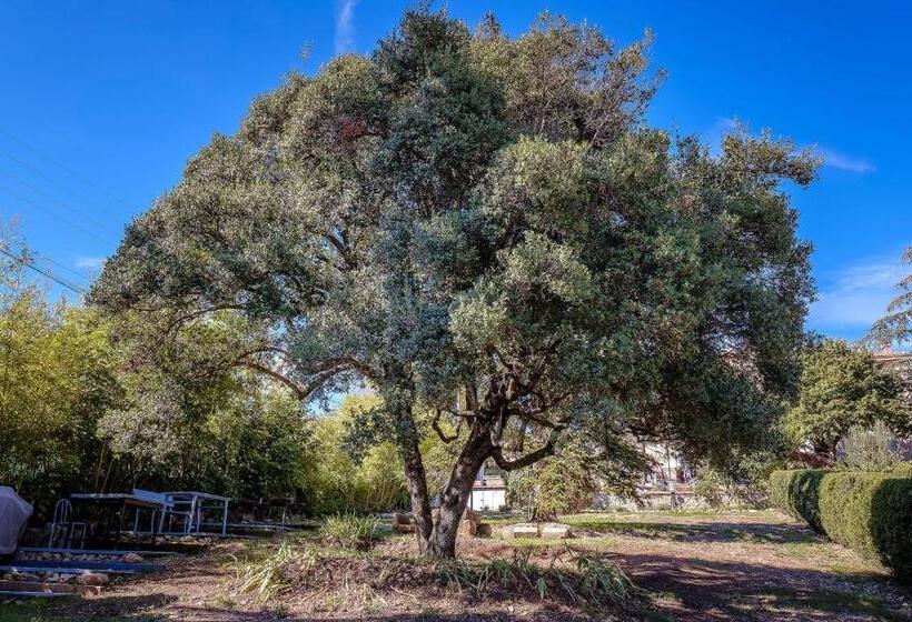 스탠다드 룸, B&b En Provence  Villa Saint Marc