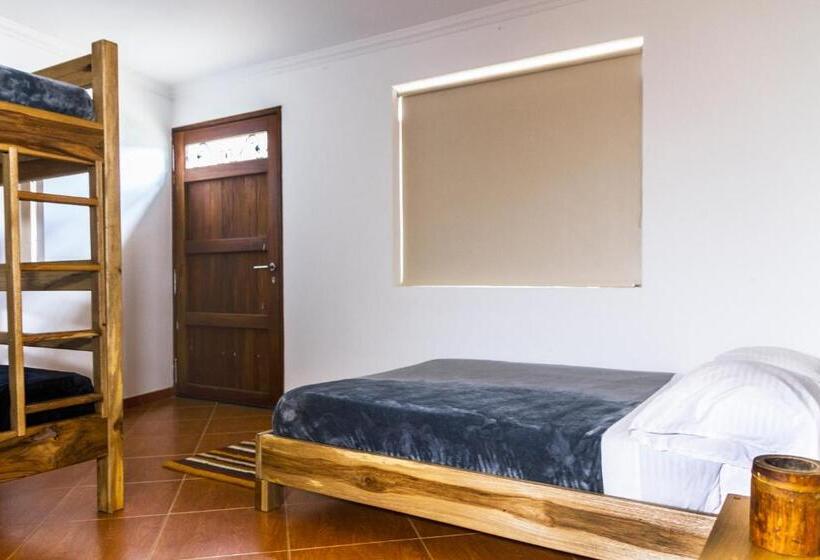 Номер Стандарт Четырехместный Совместный Санузел, Nibiru Hostel