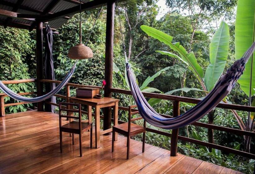 Бунгало Стандарт, La Loma Jungle Lodge And Chocolate Farm