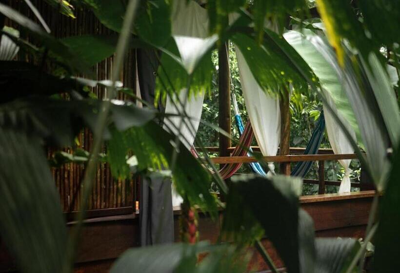 בקתה סטנדרטית, La Loma Jungle Lodge And Chocolate Farm