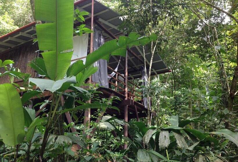 Бунгало Стандарт, La Loma Jungle Lodge And Chocolate Farm