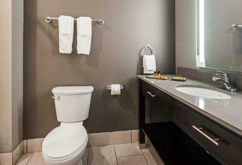 Стандартный Номер Кровать Кинг, Best Western Plus Saint Peter