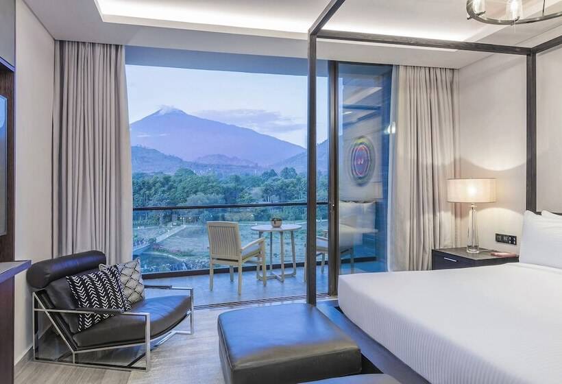 Номер Deluxe с Видом, Gran Melia Arusha