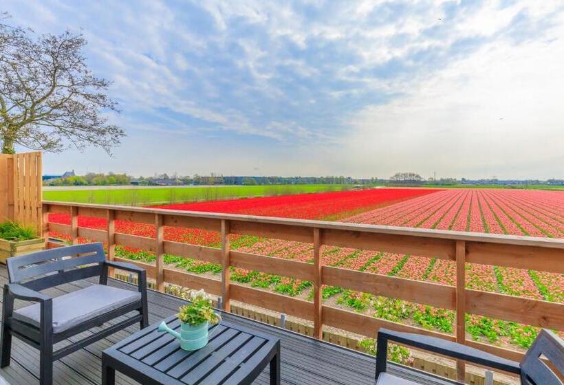 Номер Стандарт с Балконом, B&b Blossom