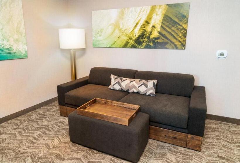 Люкс, Springhill Suites By Marriott Newark Fremont