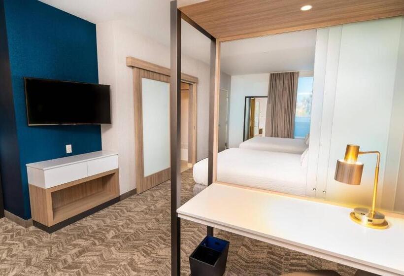 Люкс, Springhill Suites By Marriott Newark Fremont