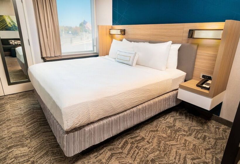 Люкс, Springhill Suites By Marriott Newark Fremont