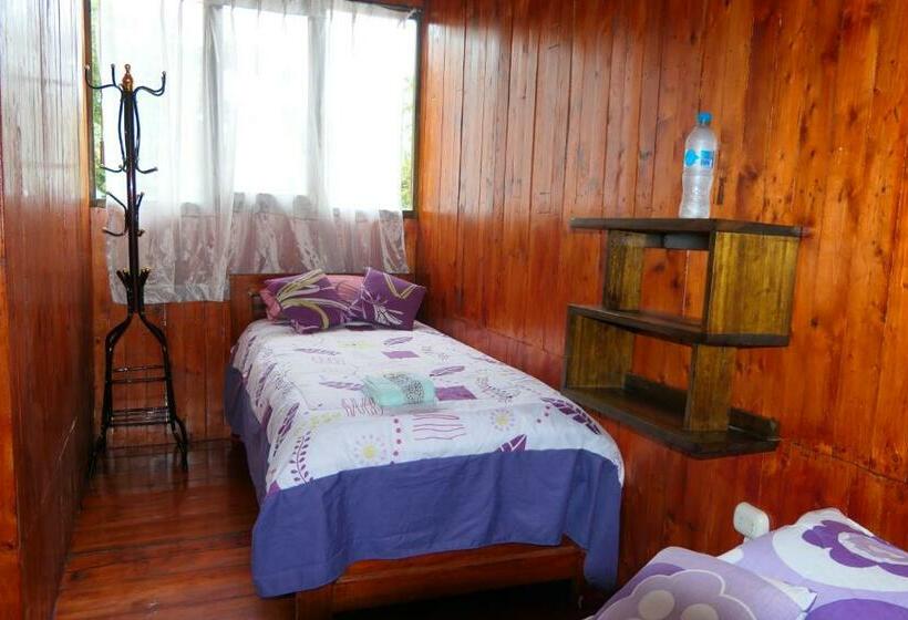 Habitación Estándar, Mindoxtrem Birds
