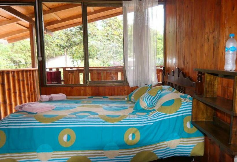 Habitación Estándar, Mindoxtrem Birds