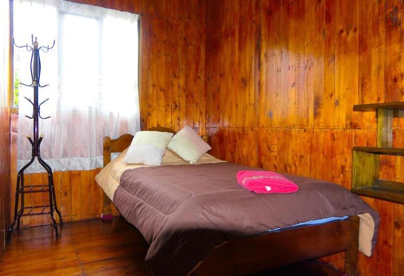 Habitación Familiar, Mindoxtrem Birds
