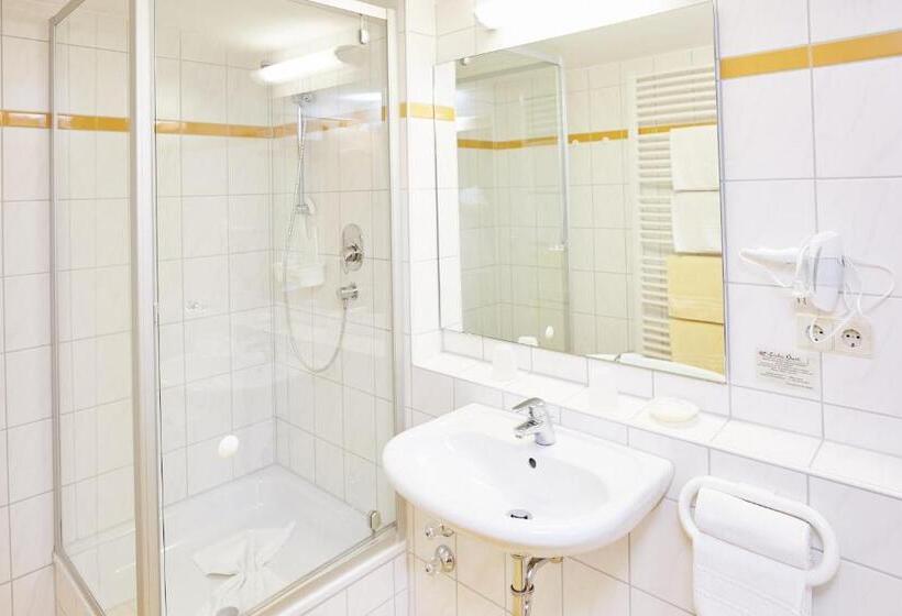 Апартаменты 1 Спальня с Видом, Berghotel Sonnenklause