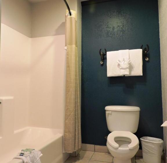Номер Deluxe, Riata Inn  Marfa