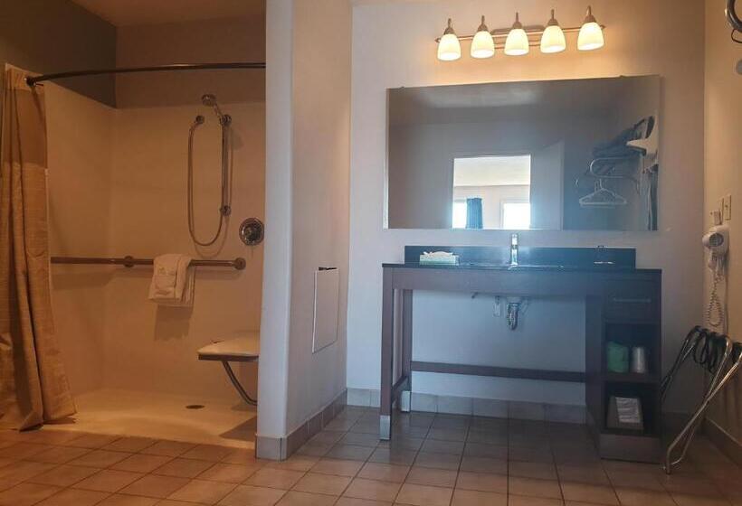 Номер Стандарт Кровать Кинг Адаптированный для Инвалидов, Riata Inn  Marfa