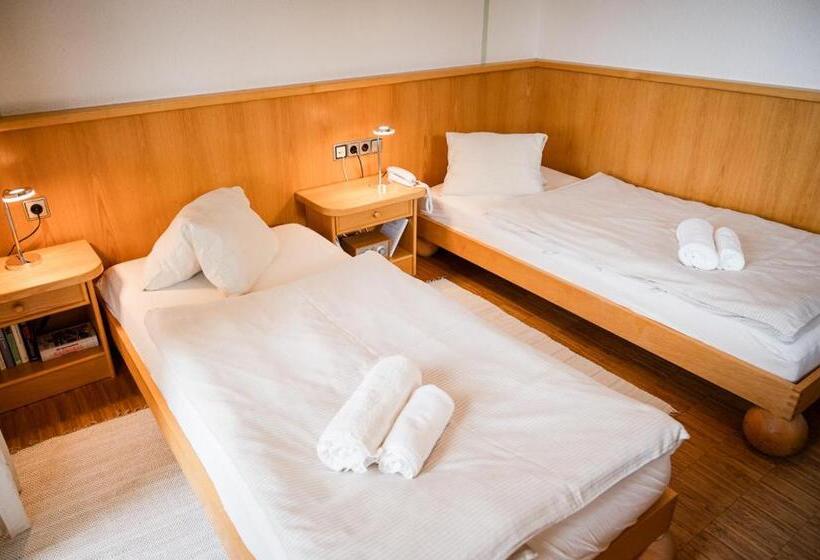 ガーデンビュースタンダードルーム, Panoramahotel Wagner   Das Biohotel Am Semmering