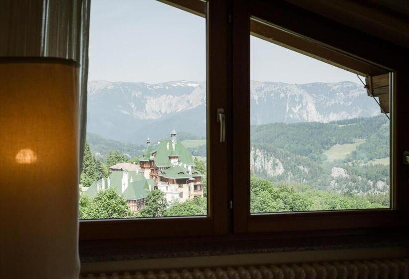 Номер Стандарт Индивидуальный, Panoramahotel Wagner   Das Biohotel Am Semmering