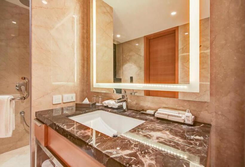 Люкс, Radisson Blu Gorakhpur