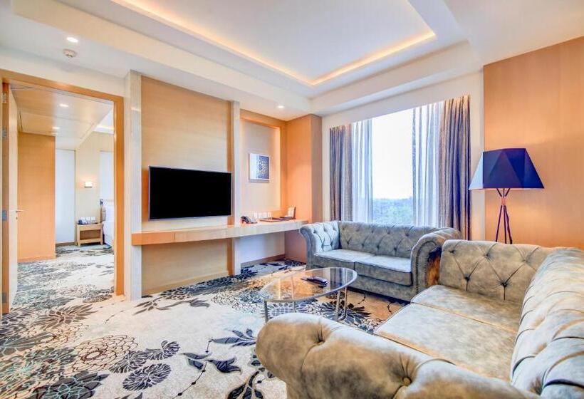 Люкс, Radisson Blu Gorakhpur