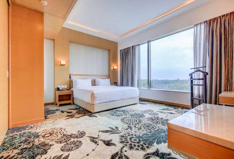 Люкс, Radisson Blu Gorakhpur