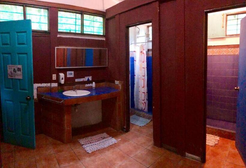 Кровать в Общей Комнате, Tasty Dayz Hostel