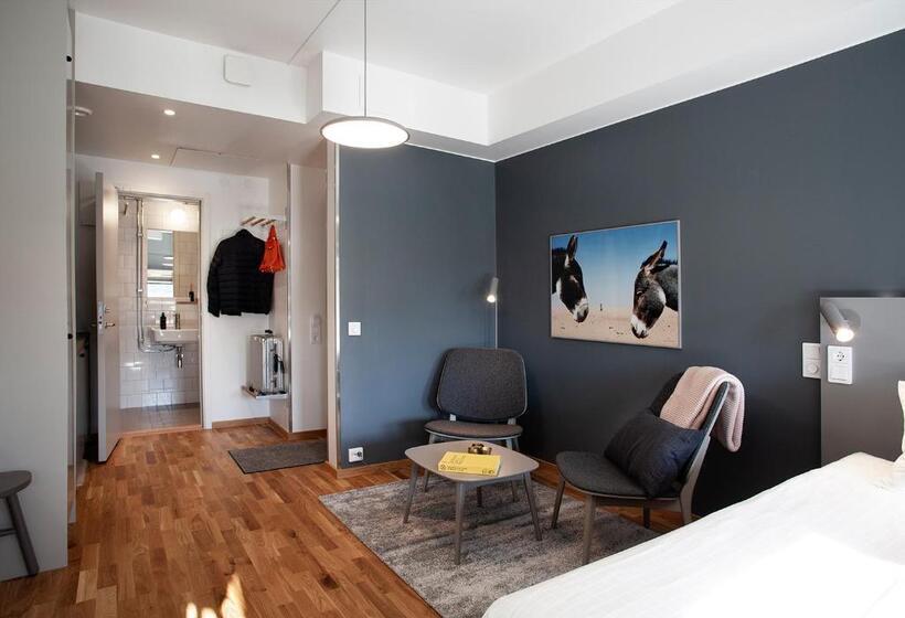 استودیوی استاندارد با تخت دوبل, The Studio