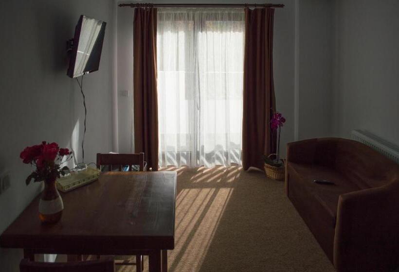 침실 1개 아파트, Pensiune Casa Ampeia