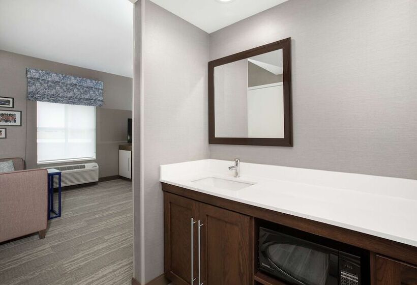 Студия Стандарт Двуспальная Кровать, Hampton Inn & Suites Logan