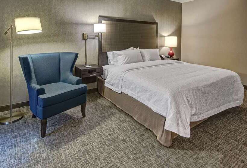 Номер Стандарт Кровать Кинг Адаптированный для Инвалидов, Hampton Inn & Suites Logan