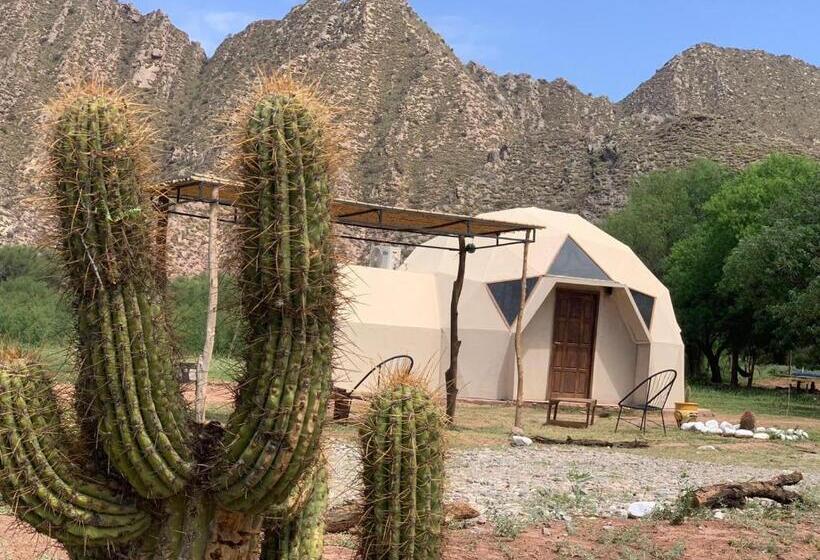 Номер Стандарт Трехместный, Hacienda Casa Blanca