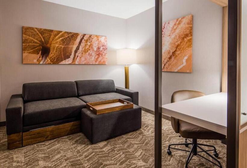 Люкс Адаптированный для Инвалидов, Springhill Suites By Marriott Chambersburg