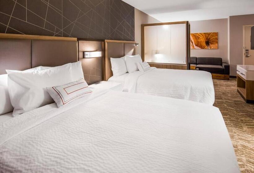 Люкс Адаптированный для Инвалидов, Springhill Suites By Marriott Chambersburg