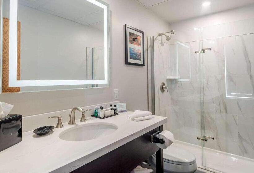 חדר סטנדרט עם מיטת קינג, The Courthouse Hotel, Ascend Hotel Collection