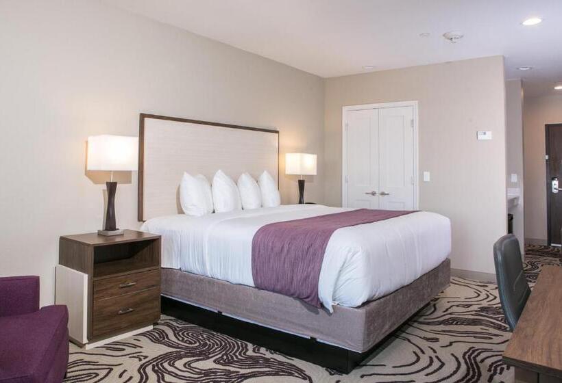 Номер Deluxe, Siri Downtown  Paso Robles