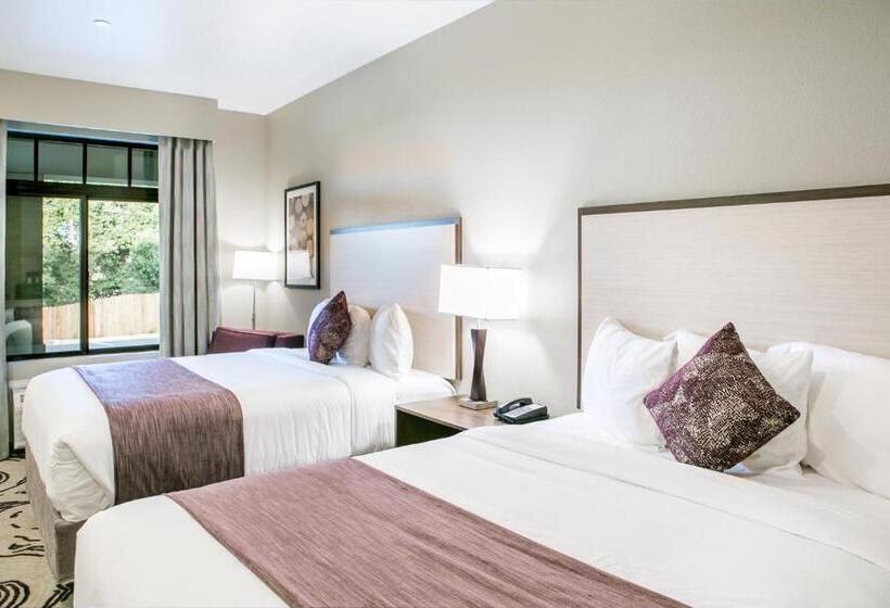 اتاق استاندارد برای معلولان, Siri Downtown  Paso Robles