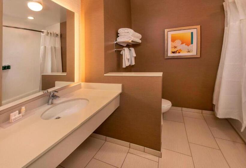 Номер Стандарт, Fairfield Inn & Suites By Marriott Harrisburg International Airport