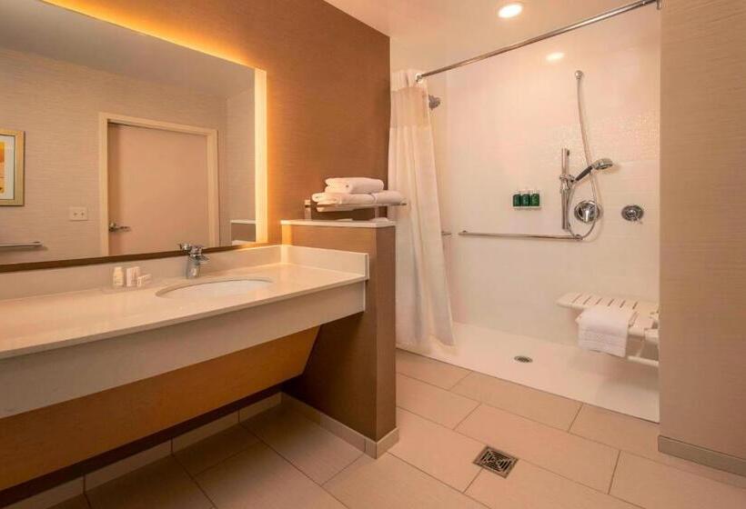 Номер Стандарт Кровать Кинг Адаптированный для Инвалидов, Fairfield Inn & Suites By Marriott Harrisburg International Airport