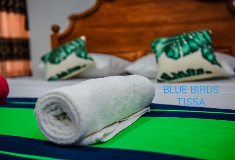 Номер Superior, Blue Birds Tissa & Yala Safari