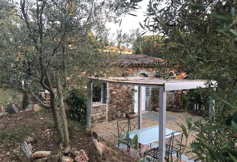 Номер Стандарт Вид на Сад, La Maison Des Oliviers