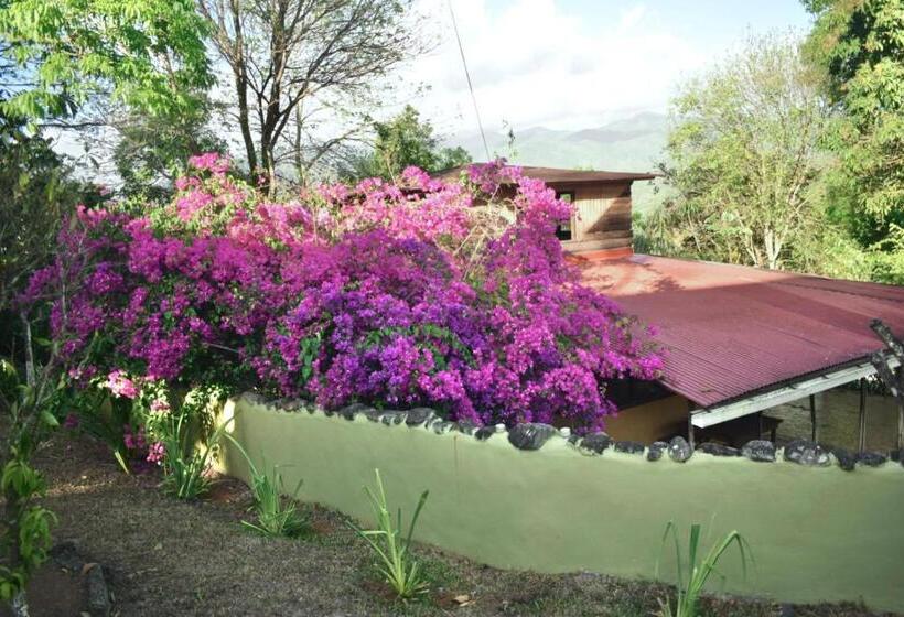 Бунгало Стандарт, La Qhia Eco Retreat