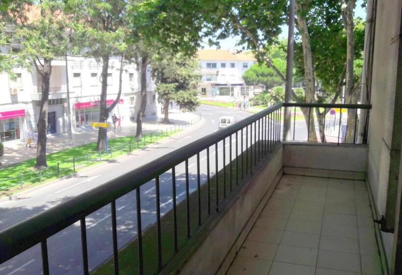 اتاق استاندارد با سرویس بهداشتی مشترک, Palm Guesthouse B&b Rooms