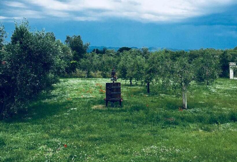 Номер Стандарт, La Cipriana