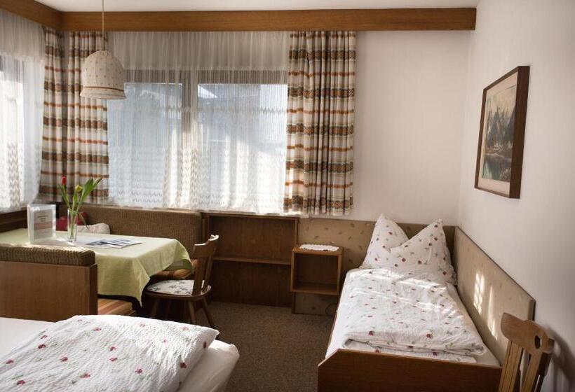 带1个卧室带观景的公寓, Residence Rienz