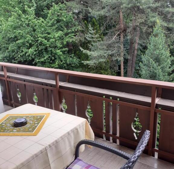 Апартаменты 1 Спальня с Видом, Residence Rienz