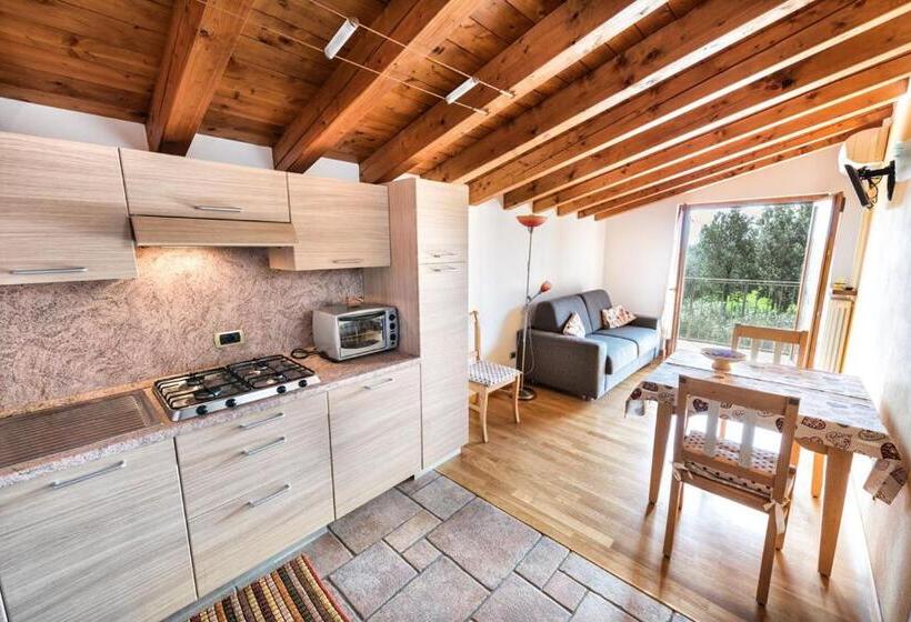Апартаменты 1 Спальня с Террасой, Agriturismo Costadoro