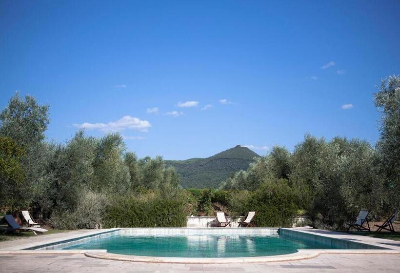 Апартаменты 2 Спальни, Agriturismo Tra Gli Ulivi, Chiappini