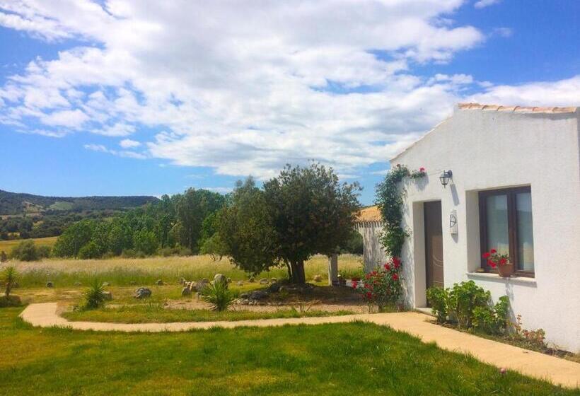 اتاق سوپریور با چشم‌انداز باغ, Agriturismo Turudhis
