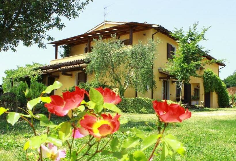 Номер Стандарт, La Casa Di Gelsomino