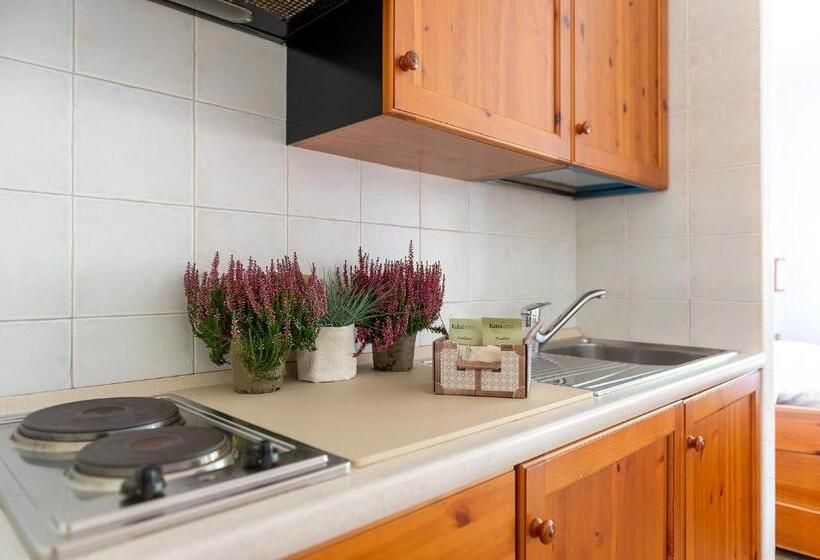 스탠다드 스튜디오, Residence Monterosa
