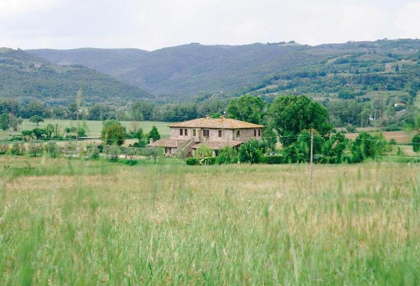 استودیوی استاندارد, La Locanda Dell'olmo