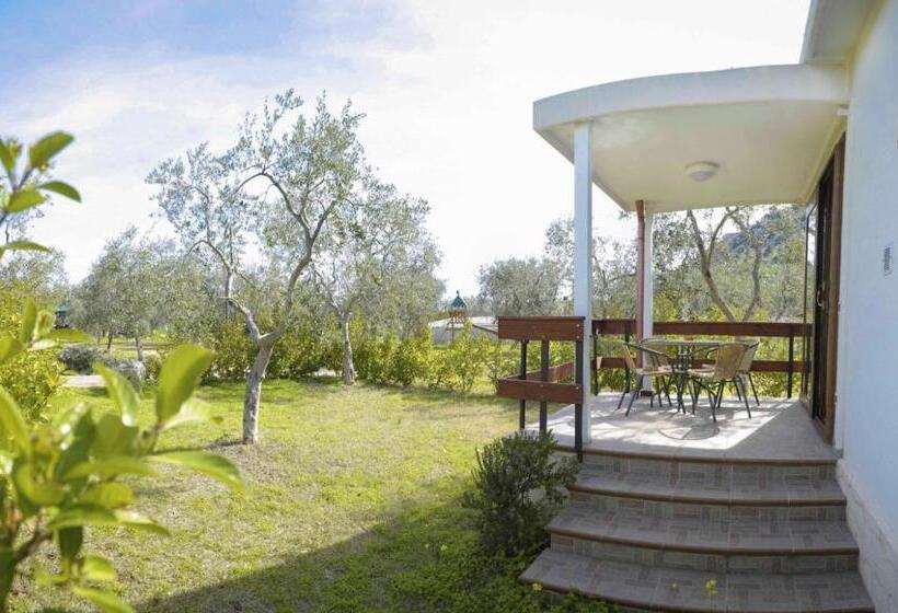 Апартаменты 2 Спальни, Agriturismo Antichi Ulivi